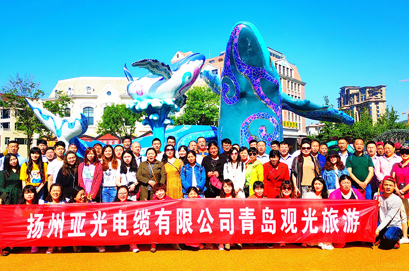 Yangzhou Yaguang Cable Co., Ltd.