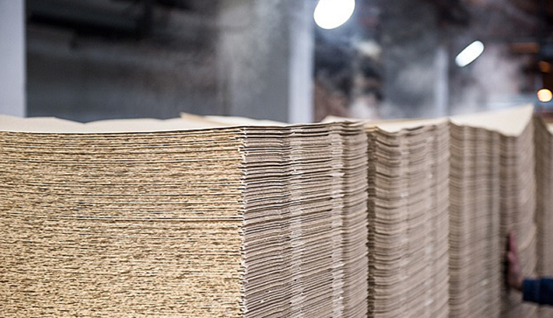 โครงการเยื่อกระดาษซานตง Rizhao