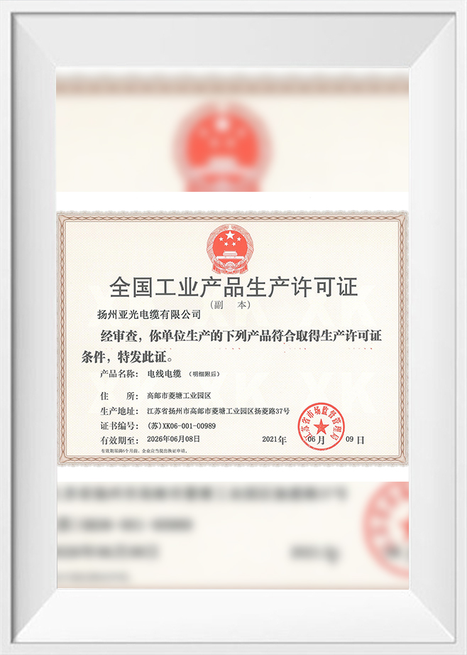 ใบอนุญาตการผลิตปี 2021